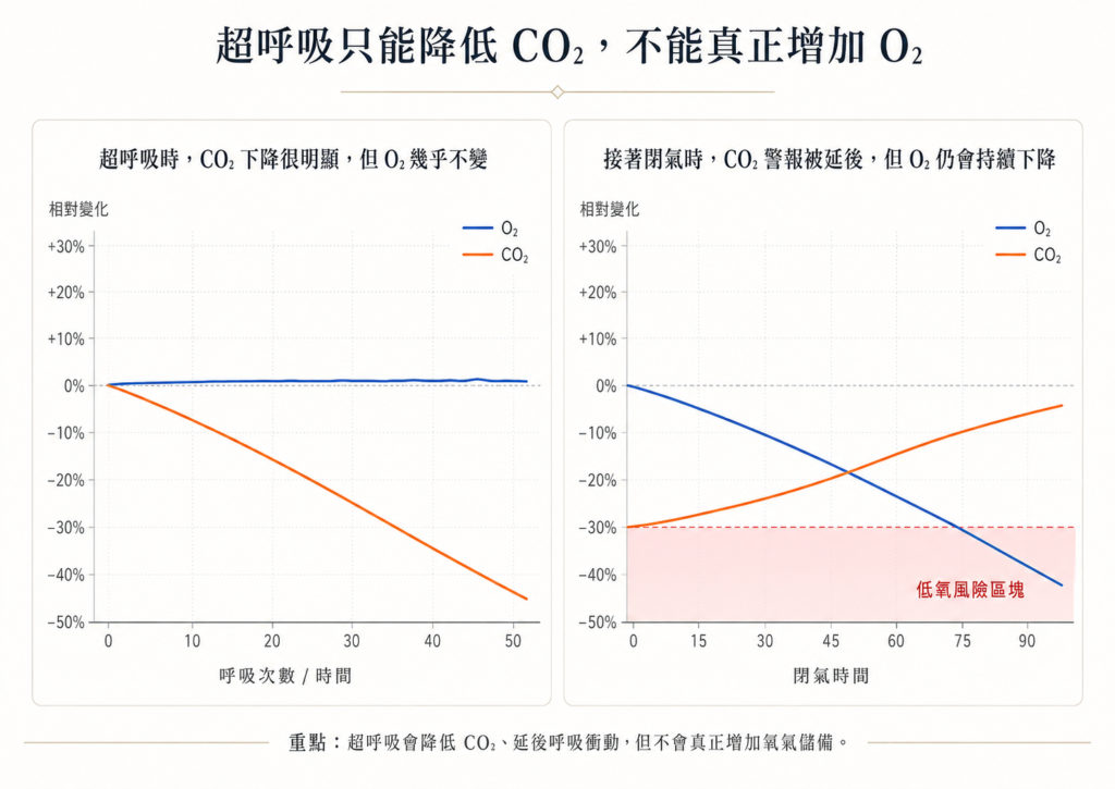 超呼吸與自由潛水閉氣風險示意圖,顯示超呼吸主要降低 CO₂,O₂ 幾乎不增加;閉氣後 O₂ 持續下降,而 CO₂ 警報延後,增加低氧風險。 超呼吸與自由潛水閉氣風險示意圖,顯示超呼吸主要降低 CO₂,O₂ 幾乎不增加;閉氣後 O₂ 持續下降,而 CO₂ 警報延後,增加低氧風險。